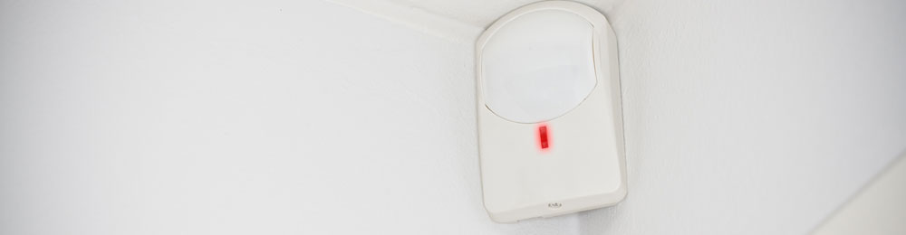 Intruder Alarms Slice
